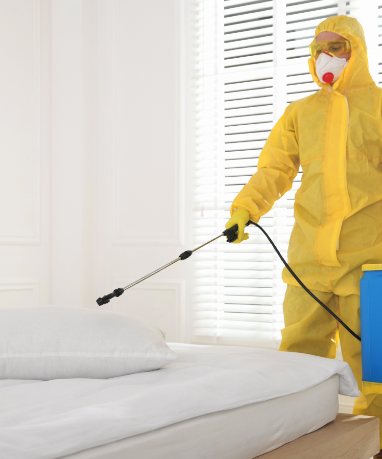 Professional Pest Control Team in Modbury